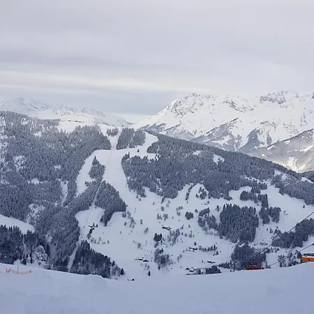 Panorama Terrace Hochkonig * Bachwinkl